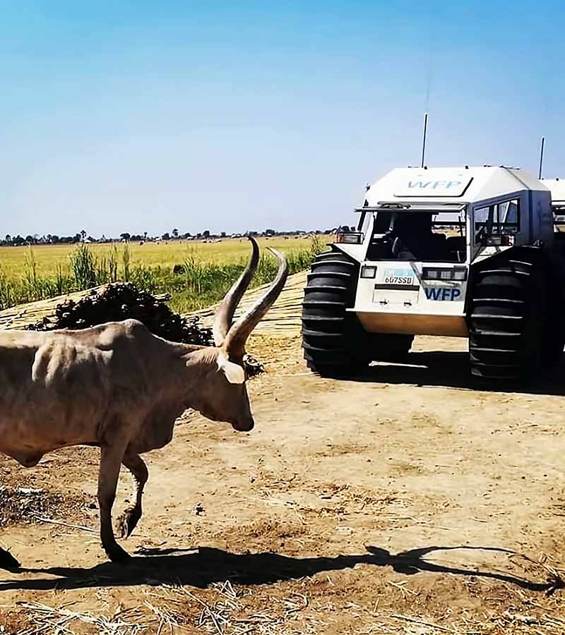 Gallery_humanitarian_4_mob 