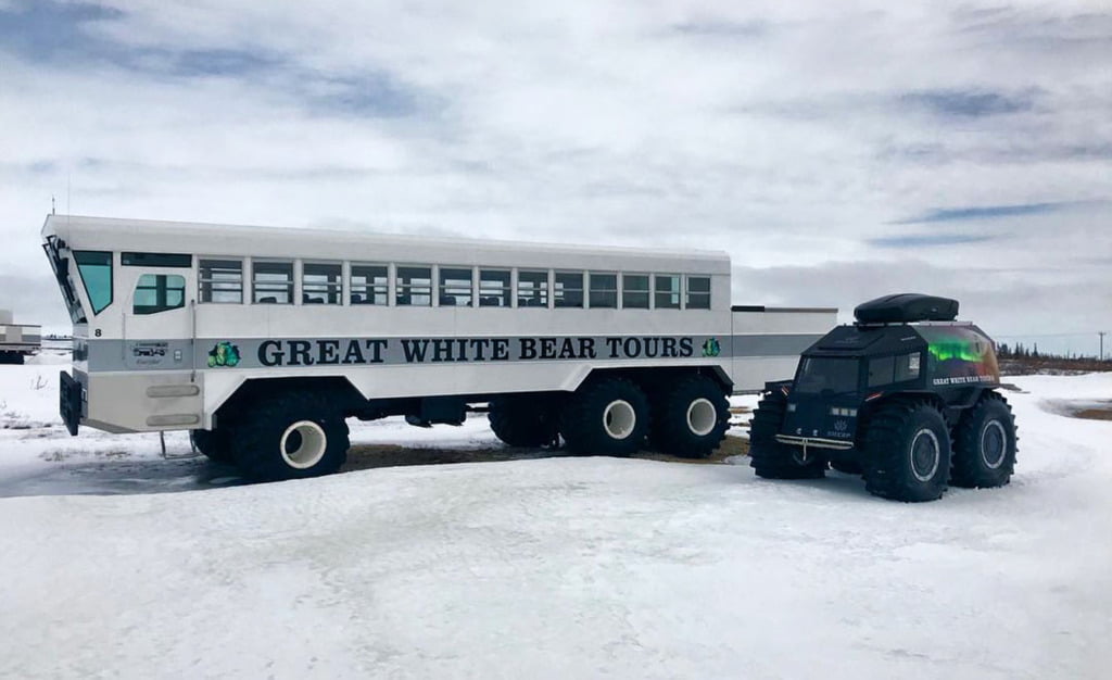 sherp_Great White Bear Tour